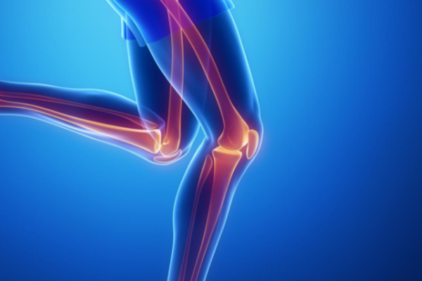 knee arthroscopy